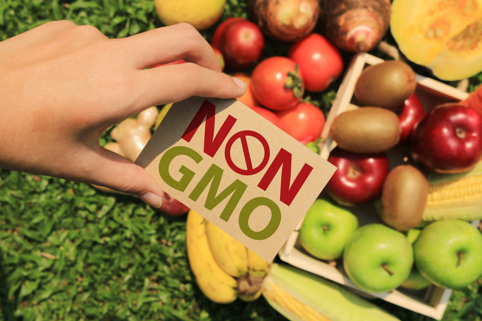 What is Non-GMO Fruit and Why Should We Eat It?