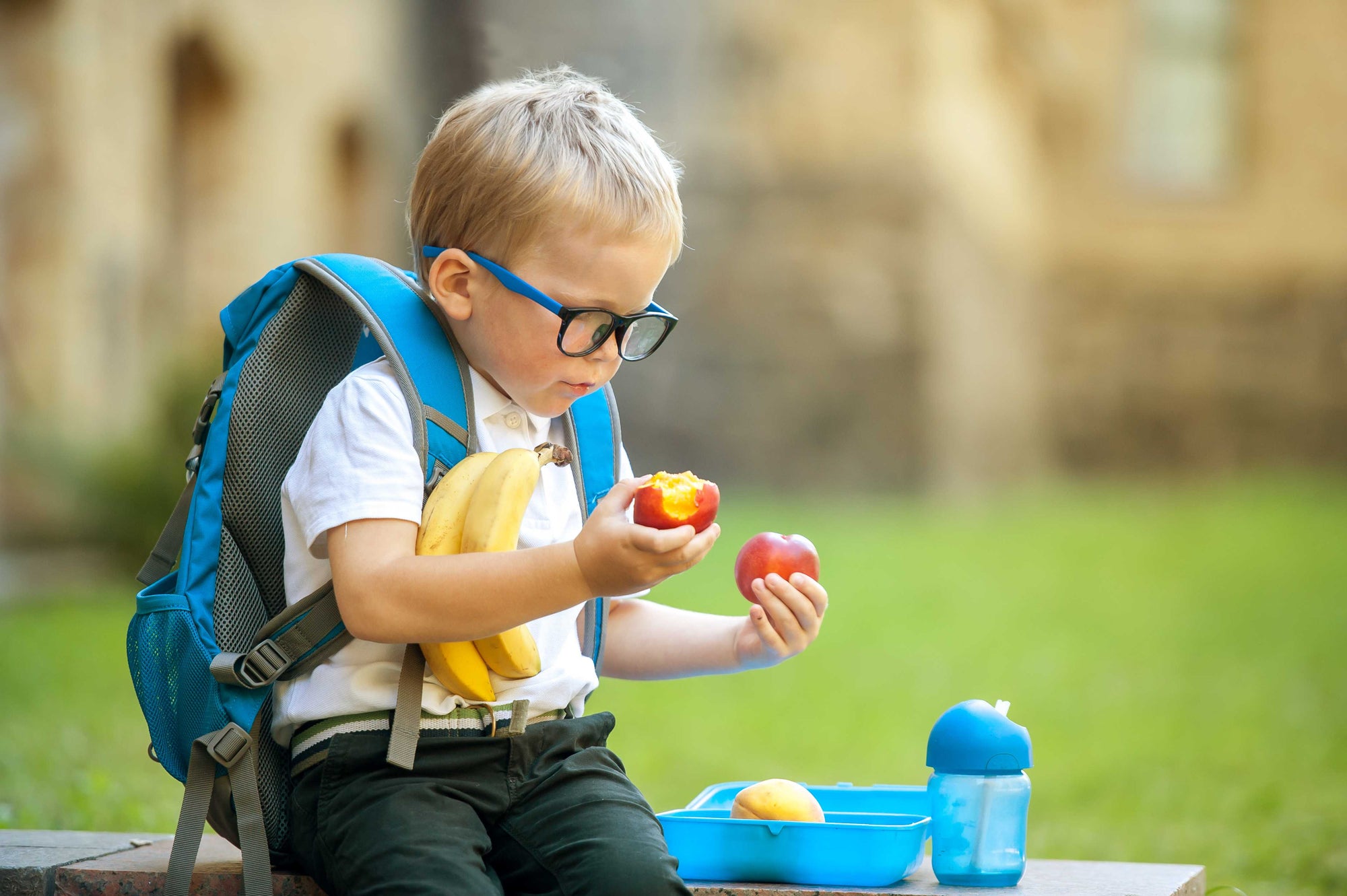 Healthy Lunch Ideas for Kids