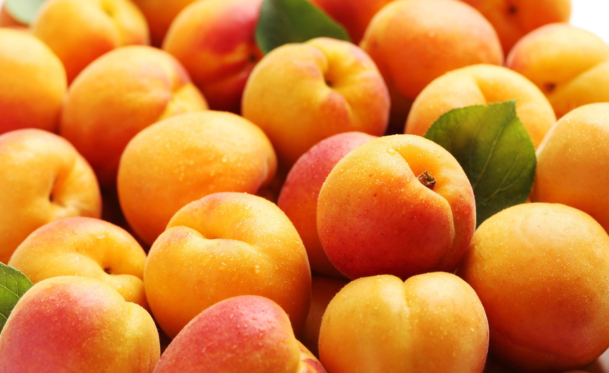 3 Health Benefits of Apricots You Should Know