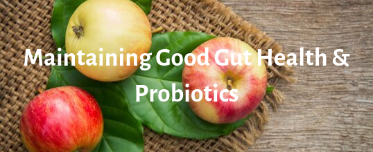 Maintaining Good Gut Health and Probiotics