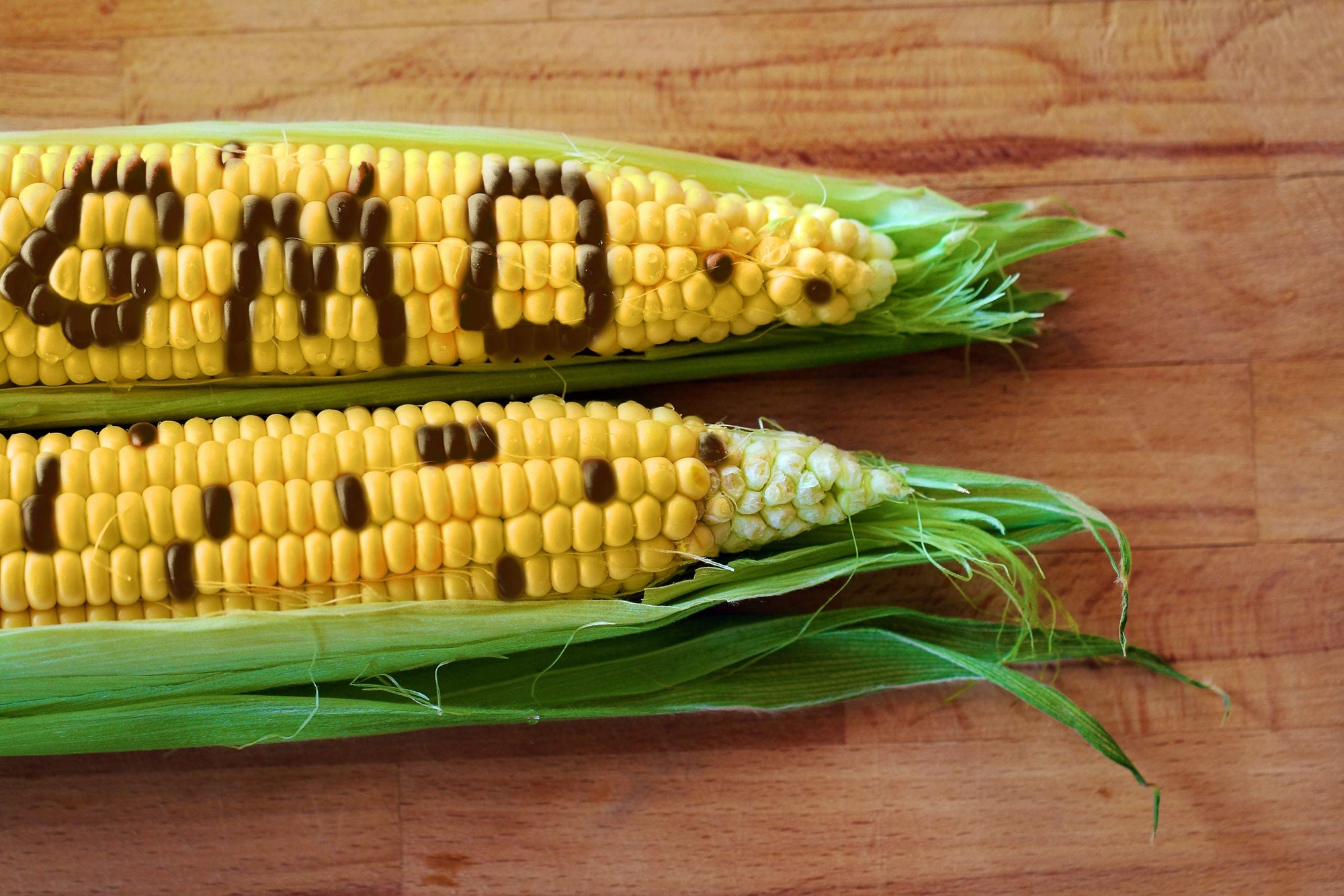 What Does GMO Mean?