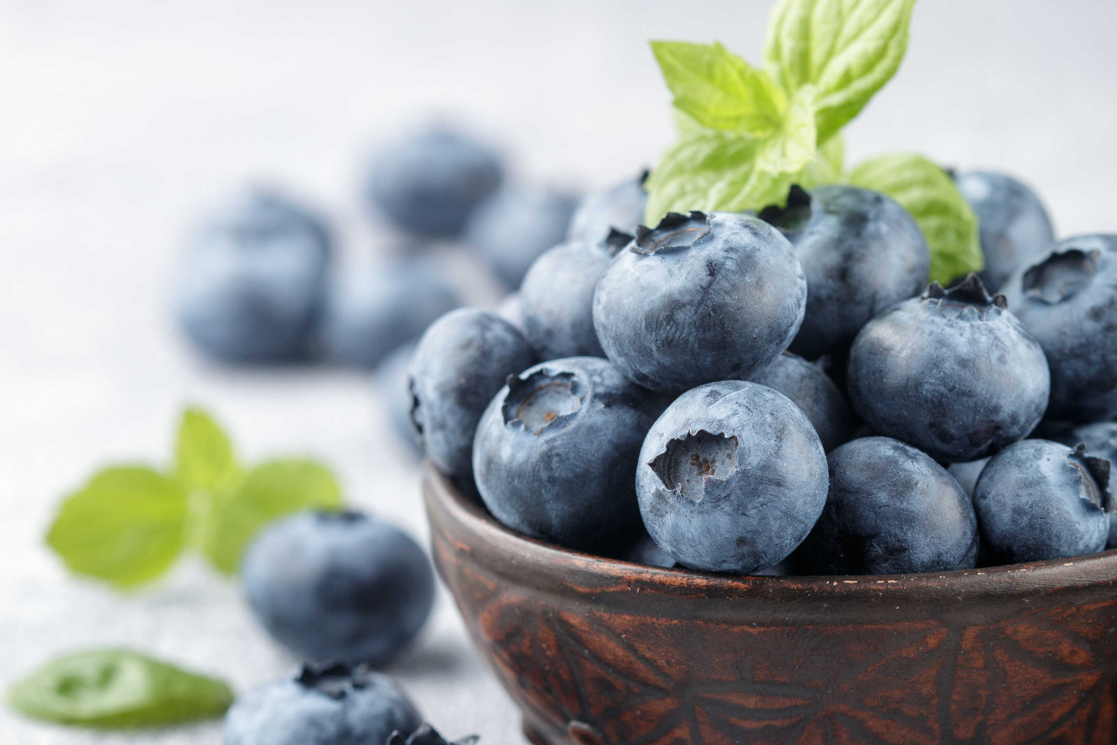 Health Benefits of Blueberries