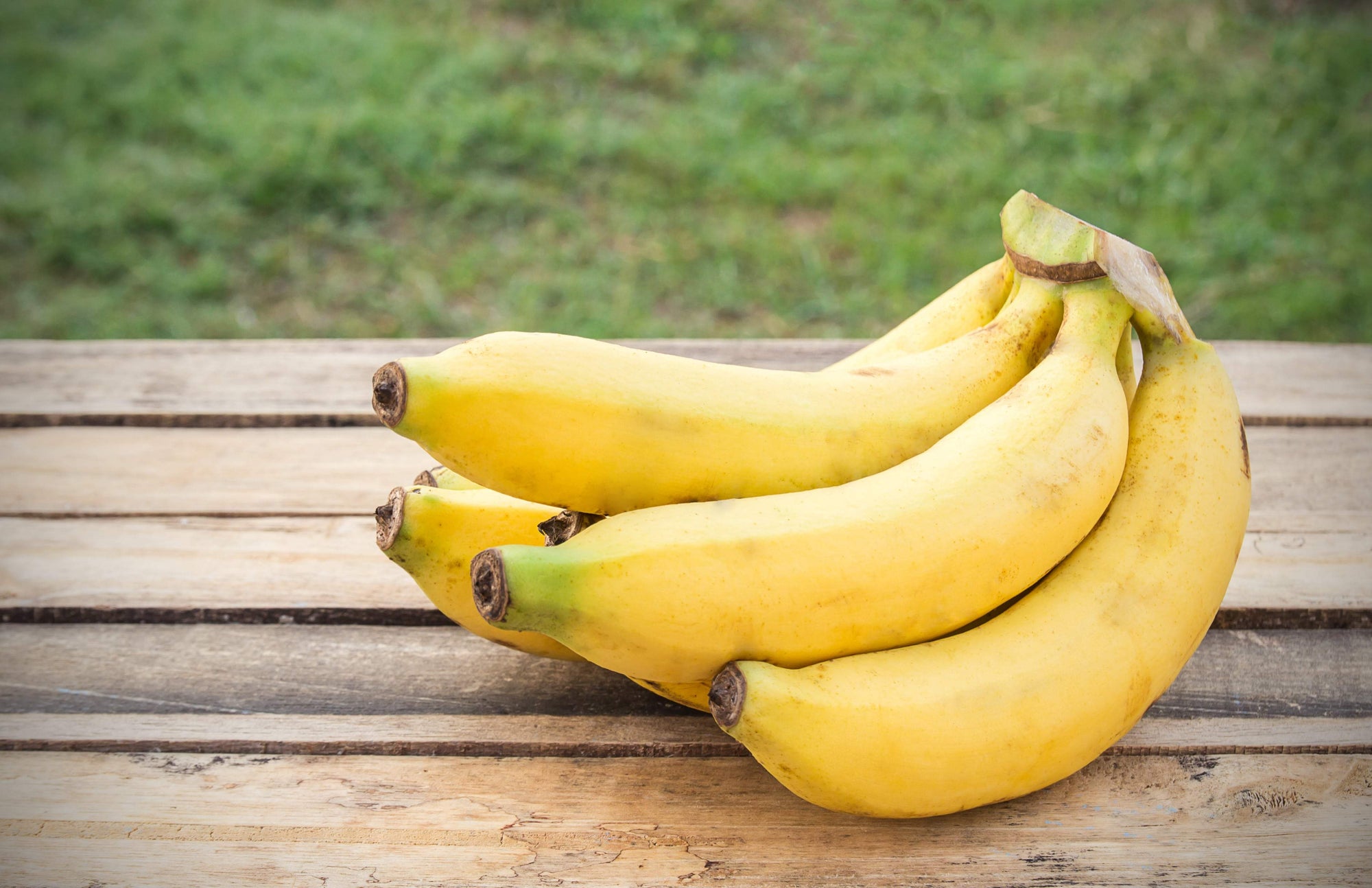 10 Interesting Facts About Bananas from That's it.