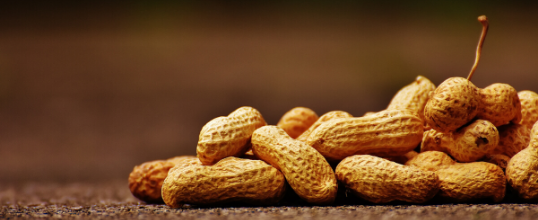 The Quick Beginner’s Guide to Understanding Food Allergies