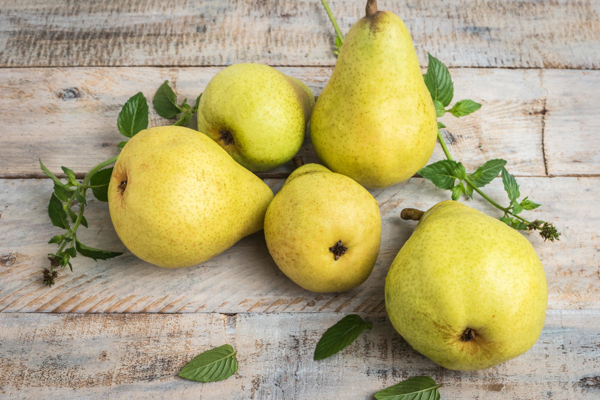 Pear Facts: 10 Interesting Insights About The Fruit - That's it Canada