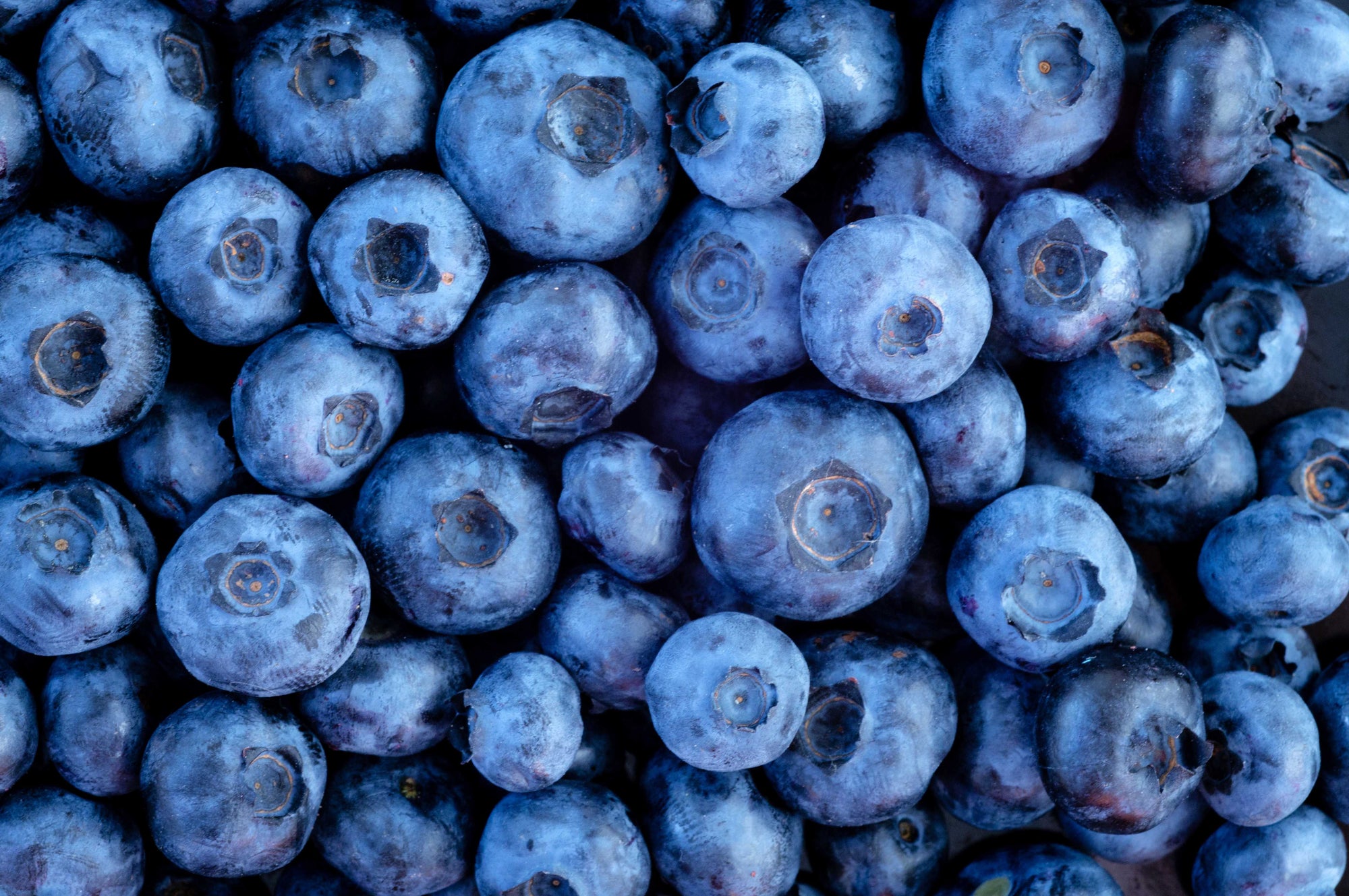 Nutritional Benefits of Blueberries